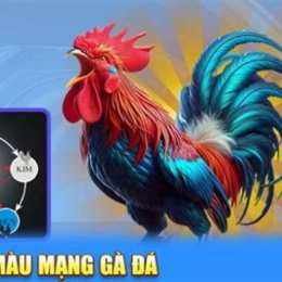 100 mau mang ga da