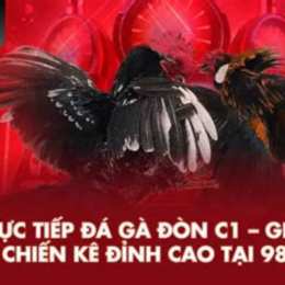 98win xóc đĩa đá gà nổ hũ