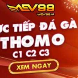 aev99 đá gà thomo