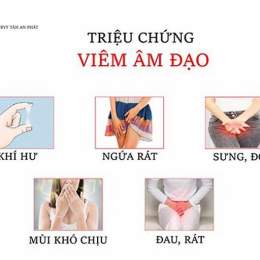 âm đạo gắn tường