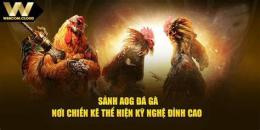 ảnh chụp màn hình aog đá gà