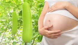 ảnh chụp màn hình bà bầu có được ăn da gà không