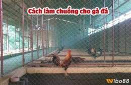ảnh chụp màn hình bạn chuồng chạy cho gà đá