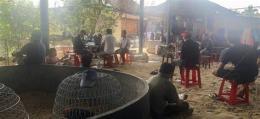 ảnh chụp màn hình bắt đá gà ở cái be tiền giang