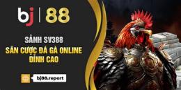 ảnh chụp màn hình bj88 đá gà staystrongsouthflorida
