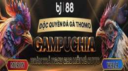 ảnh chụp màn hình bj88 đá gà staystrongsouthflorida.com
