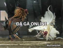ảnh chụp màn hình cá độ đá gà online