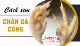 ảnh chụp màn hình cách xem chân gà tre đá hay