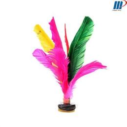 ảnh chụp màn hình cầu lông gà đá