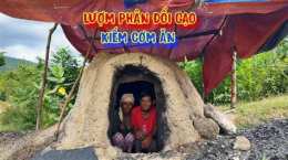 ảnh chụp màn hình câu tục ngữ chó ăn đá gà ăn sỏi