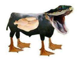 ảnh chụp màn hình chẳng vịt thịt gà da trâu đầu rắn