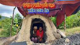 ảnh chụp màn hình chó ăn sỏi gà ăn đá