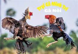 ảnh chụp màn hình chon ga noi da hay