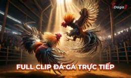 ảnh chụp màn hình clip đá gà cpc3
