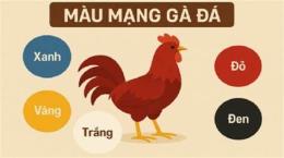 ảnh chụp màn hình coi ngày màu mạng gà đá