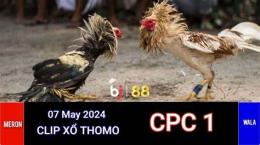 ảnh chụp màn hình congaden đá gà trực tiếp thomo