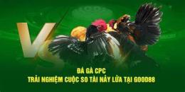 ảnh chụp màn hình cpc đá gà