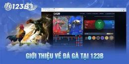 ảnh chụp màn hình đá gà 123b https://www.cult.us.com/