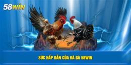 ảnh chụp màn hình đá gà 58win