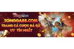 ảnh chụp màn hình đá gà 88 z.com