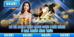 ảnh chụp màn hình đá gà 88clb