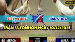 ảnh chụp màn hình đá gà bảo sting chồng độ 4 cái