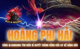 ảnh chụp màn hình đá gà bảo sting và hoàng phi hải