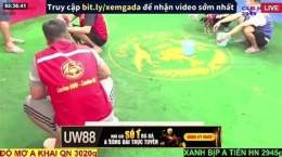 ảnh chụp màn hình đá gà bịp roykin và mơ eto