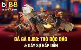 ảnh chụp màn hình đá gà bj88.pro