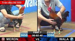ảnh chụp màn hình đá gà bồ c3 hôm nay