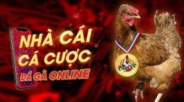 ảnh chụp màn hình đá gà c1 campuchia hôm nay