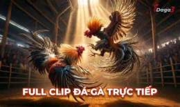 ảnh chụp màn hình đa gà c1 thomo