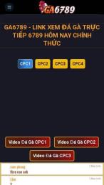 ảnh chụp màn hình đá gà c2 ga6789