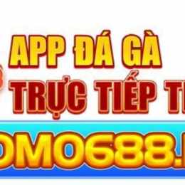 app đá gà online