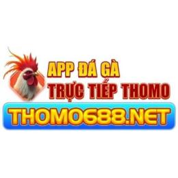 app đá gà thomo uy tín