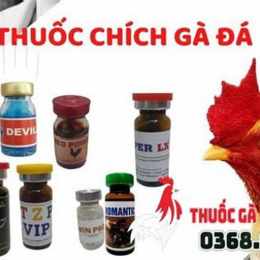 ban thuoc ga da o tphcm
