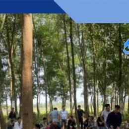 bắt đá gà gò dầu tây ninh