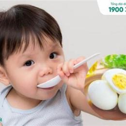 bé 6 tháng đã ăn được trứng gà chưa