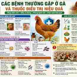 bệnh da gà ở cổ