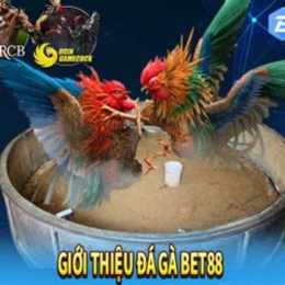 bet88 đá gà bet88pro.one
