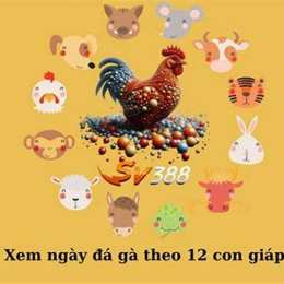 bí kíp xem ngày đá gà cựa sắt