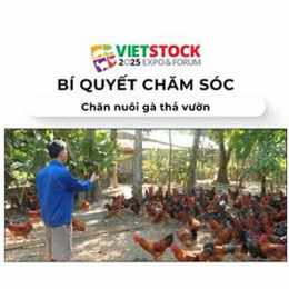 bi quyet cham soc ga da
