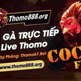 bình luận đá gà thomo trực tiếp