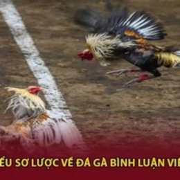 bình luận viên đá gà trực tiếp