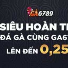 bj88 nhà cái đá gà thomo