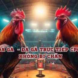 bj88 truc tiep da ga