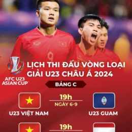 cac tran da ga