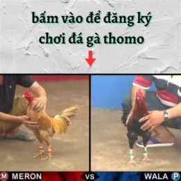 cách đăng ký trang đá gà thomo