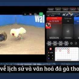 cách tải trang đá gà thomo