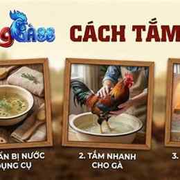cach tam ga da